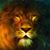 Laura Shelley's profile image