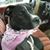 Sheryl Wilson's profile image