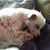Jennifer Beth Gaubert's profile image