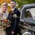Lauren Donahue Warfield's profile image