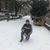 Walterin Chauca's profile image