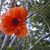 Joye Brooks's profile image