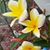 Karen Ely Kailing's profile image