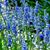 Sara James-Rilleau's profile image