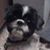 Laura Kay Lehman's profile image