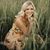 Lauren Dimock's profile image