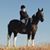 Cathleen A. Springer's profile image