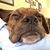 Janet Geiger Albright's profile image