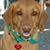 Melissa Miller's profile image