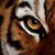 Cathy Vaughn's profile image