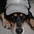 Jason Martin's profile image