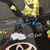 Rose Beebe's profile image