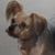 Linda Semple Hendrix's profile image
