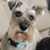 Kimberly Smith's profile image