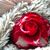 Rose Poole's profile image