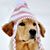 Candace Eppink Gillikin's profile image