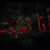 Dalal Hadad's profile image