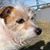 Andrea Deason Joldrichsen's profile image