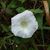 Lori Goodsel's profile image