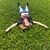 Tatiana Santa Maria's profile image