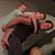Yonatan Schechtman's profile image