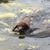 Terry Culp's profile image