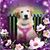 Lynn Marie's profile image