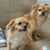 Barbara Jean Nino's profile image