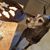Vicky Wilder's profile image