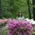 Julie Ainsworth Davis's profile image