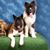 Christy Bundy's profile image