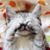 Robin Allsup's profile image