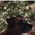 Ruth Conway-Koljonen's profile image