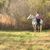 Nancy Nelson Crutchfield's profile image