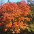Sara Neyers Zulfer's profile image