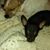 Crystal Horne's profile image