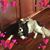 Lyndsey Leffel's profile image