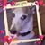 Kelly Hopkins Hetrick's profile image
