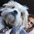 Kim Mielke Burch's profile image