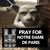 JoAnne Kender's profile image