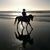 Jody Hays's profile image