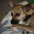 Joyce Verstraete's profile image