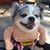 Carol Rice's profile image