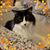 Cindy Lampa's profile image