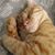 Cheryl Morgan's profile image