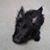 Janet Cox's profile image