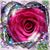 Denise Carson's profile image