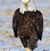 Don Heightman's profile image