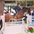 Caroline Strek's profile image