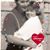 Rhonda Smith Burgan's profile image
